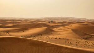 Tharparkar Desert